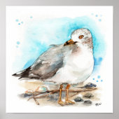 Seagull Studie 2 Poster (Voorkant)