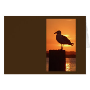 Seagull Sunset
