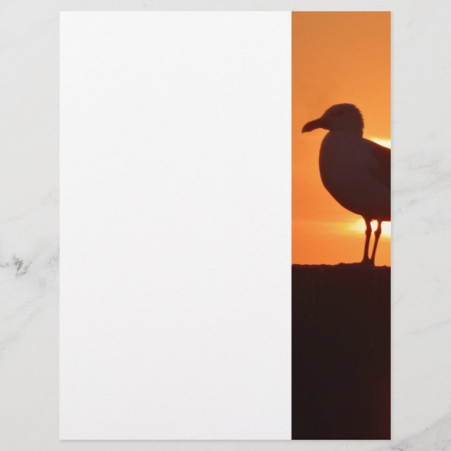 Seagull Sunset (Voorkant)