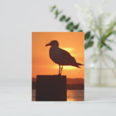 Seagull Sunset Briefkaart (Staand voorkant)