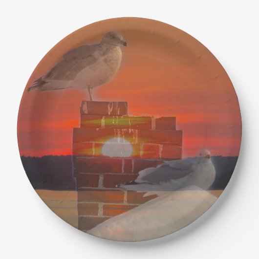 Seagull Sunset Papieren Bordje (Voorkant)