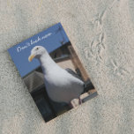 Seagull Surprise Funny Birthday Kaart<br><div class="desc">Op zoek naar een rechtse,  grappige verjaardagskaart voor iemand? Wat dacht je van een verrassing voor de zeemeeuw? Selecteer uit steen of glanzende stijlkaart.</div>
