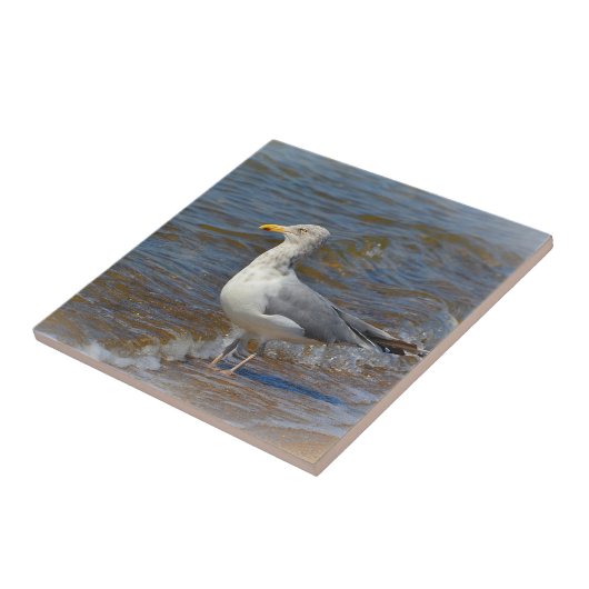 Seagull Tile Tegeltje (Zijkant)