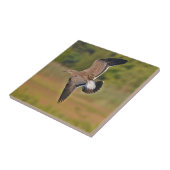 Seagull Tile Tegeltje (Zijkant)