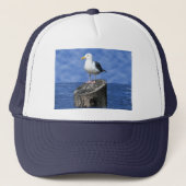 SEAGULL TRUCKER PET (Voorkant)