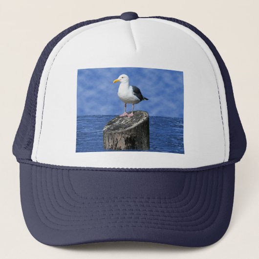 SEAGULL TRUCKER PET (Voorkant)