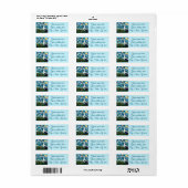 Seagull Van Gogh Style Beach Sky Retouradres Etiket (Full Sheet)