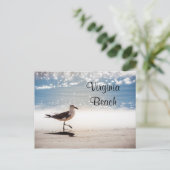 Seagull Walking op Virginia Beach Briefkaart (Staand voorkant)