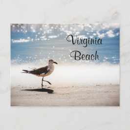 Seagull Walking op Virginia Beach Briefkaart