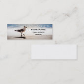 Seagull Walking op Virginia Beach Mini Visitekaartje (Voorkant / Achterkant)