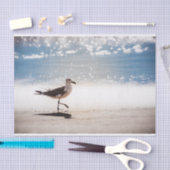 Seagull Walking op Virginia Beach Tissuepapier (Craft)