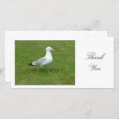 Seagull Walling in het Park - Dank U Bedankkaart (Voorkant / Achterkant)