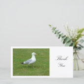 Seagull Walling in het Park - Dank U Bedankkaart (Staand voorkant)