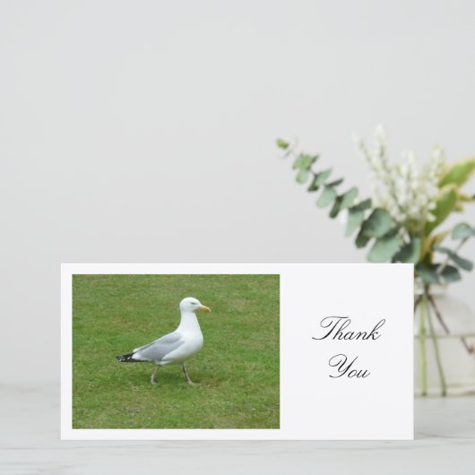 Seagull Walling in het Park - Dank U Bedankkaart (Staand voorkant)