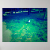 Seagull Walting op gras Liqufy Art Effect Poster (Voorkant)