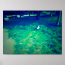 Seagull Walting op gras Liqufy Art Effect