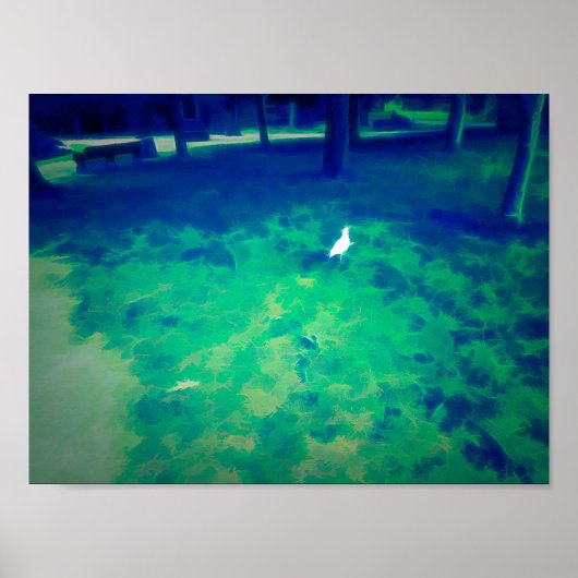 Seagull Walting op gras Liqufy Art Effect Poster (Voorkant)