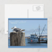 Seagull Watch Briefkaart (Voorkant / Achterkant)