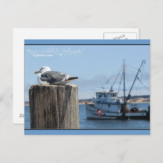 Seagull Watch Briefkaart (Voorkant / Achterkant)