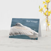 seagull wenst kaart (Gele Bloem)