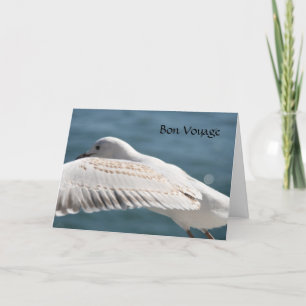 seagull wenst kaart