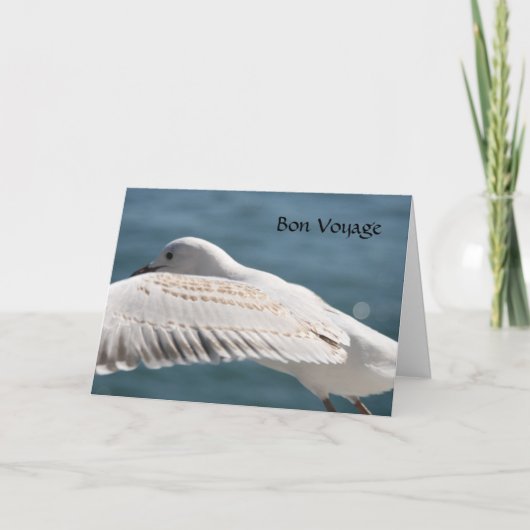seagull wenst kaart (Voorkant)