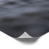 Seagull Wildlife Foto Poster (Hoek)