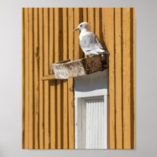 Seagull Yellow House Poster