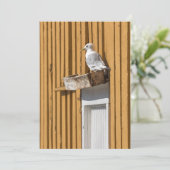 Seagull Yellow Norwegian House Foto Feestdagenkaart (Staand voorkant)