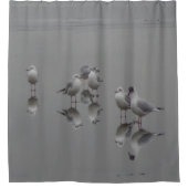 Seagulles, serene Reflections Shower Curtain Douchegordijn (Voorkant)