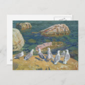 Seagulls, 1910 briefkaart (Voorkant / Achterkant)