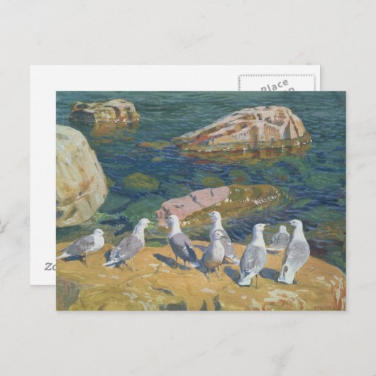Seagulls, 1910 briefkaart (Voorkant / Achterkant)