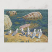 Seagulls, 1910 briefkaart (Voorkant)