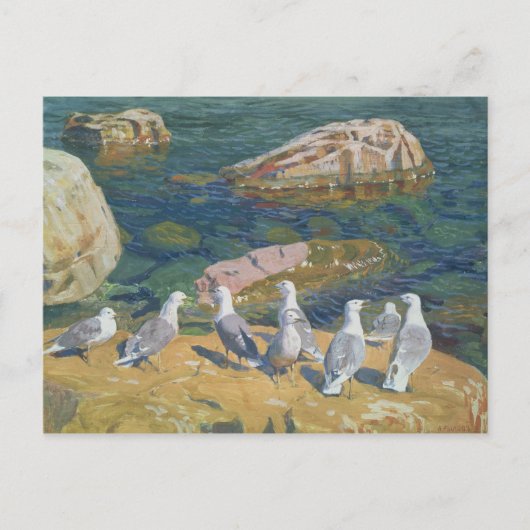 Seagulls, 1910 briefkaart (Voorkant)
