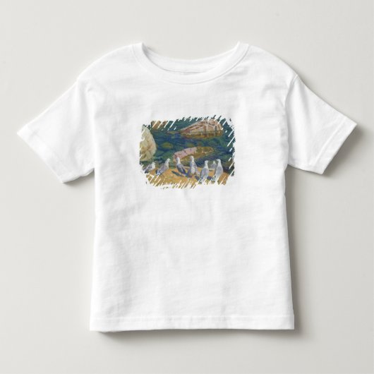 Seagulls, 1910 kinder shirts (Voorkant)