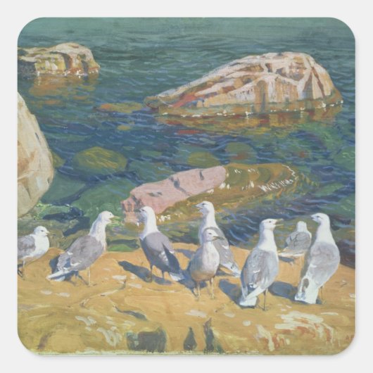 Seagulls, 1910 vierkante sticker (Voorkant)