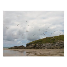 Seagulls bij Porth Beach Newquay Cornwall