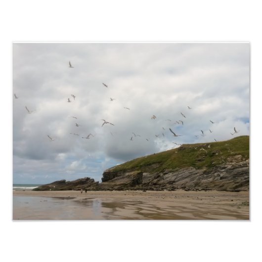 Seagulls bij Porth Beach Newquay Cornwall Foto Afdruk (Voorkant)