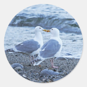 Seagulls die zoenen op de strand foto ronde sticker