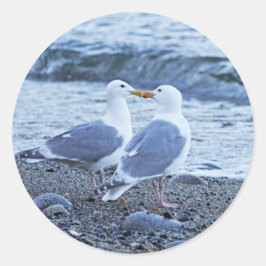 Seagulls die zoenen op de strand foto ronde sticker (Voorkant)