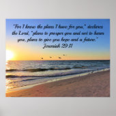 SEAGULLS EN SUNRISE JEREMIAH 29:11 BIBLIOTHEEK POSTER (Voorkant)