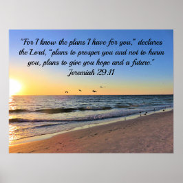 SEAGULLS EN SUNRISE JEREMIAH 29:11 BIBLIOTHEEK POSTER