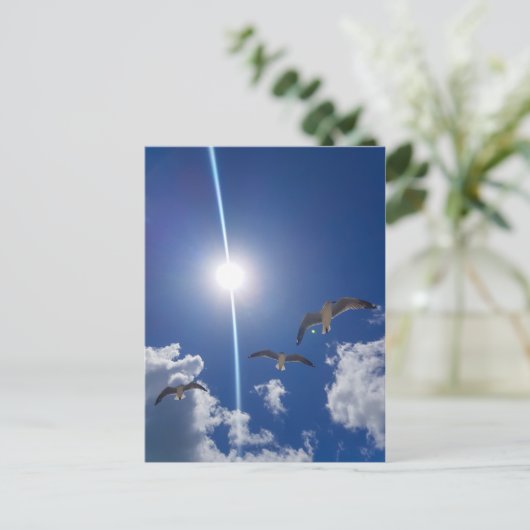 Seagulls Flying Sky Clouds Sun Briefkaart (Staand voorkant)