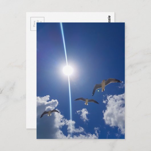 Seagulls Flying Sky Clouds Sun Briefkaart (Voorkant / Achterkant)