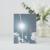 Seagulls Flying Sky Clouds Sun Briefkaart (Staand voorkant)