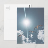 Seagulls Flying Sky Clouds Sun Briefkaart (Voorkant / Achterkant)