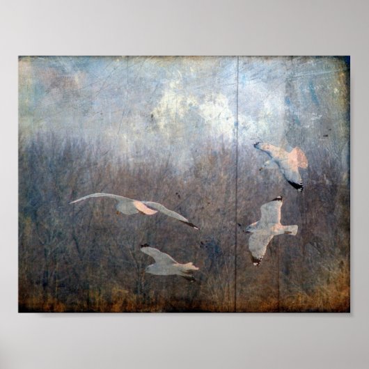 Seagulls Grunge Poster (Voorkant)
