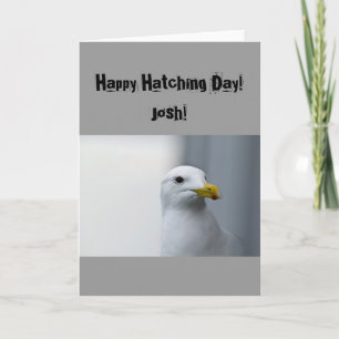 Seagulls Happy Hatching Birthday Kaart