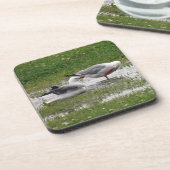 Seagulls in een puddle bier onderzetter (Linkerzijde)