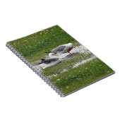 Seagulls in een puddle notitieboek (Rechterzijde)